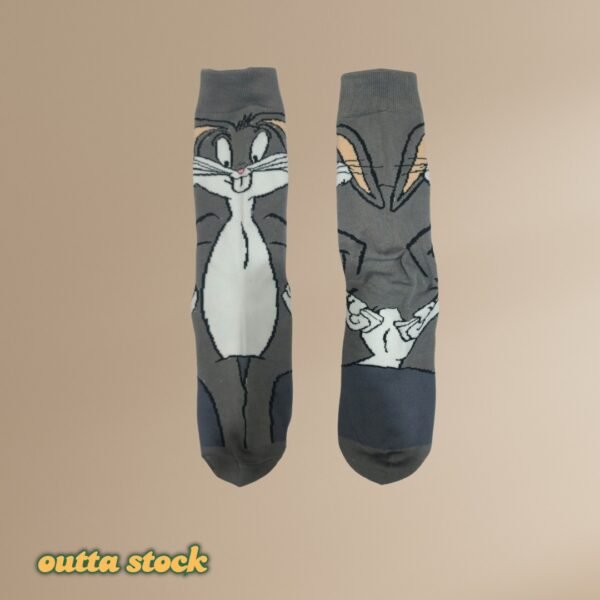 11_20261017_021116_0005 Socks Design #2
